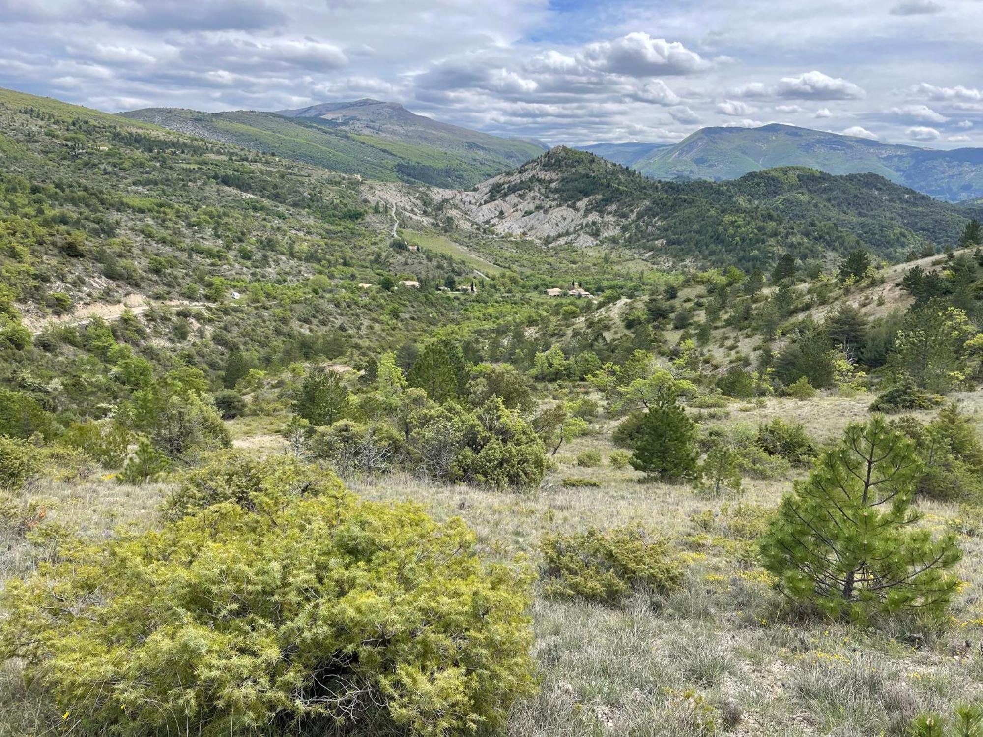 La Maison De Vergol Montbrun-les-Bains Dış mekan fotoğraf
